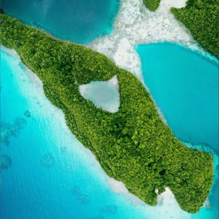 aerial view of a green island and a sandy bay in Palau