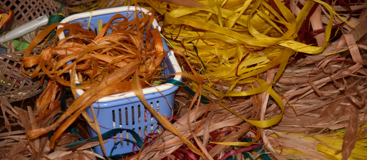 processed tree bark to make grass skirts in Palau