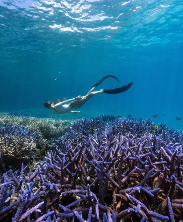 Rock Island Odyssey - Discover Hidden Snorkel Sites & Secret Beaches