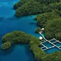 Group Flight C - South Rock Islands, Blue Corner & Peleliu
