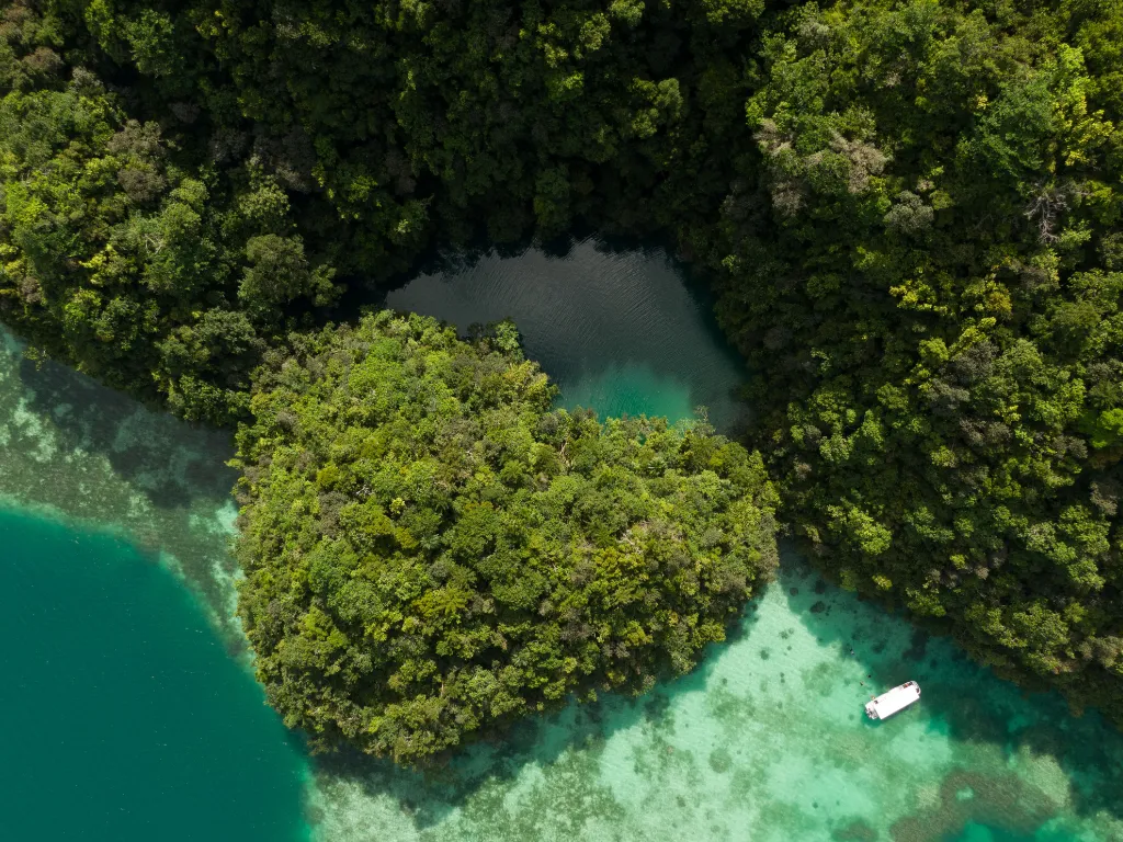 7-Day Palau Ultimate Adventure