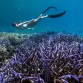 7-Day Palau Ultimate Adventure