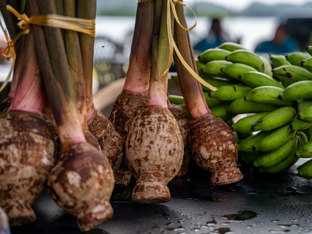 4-Day Palau Weekend Explorer