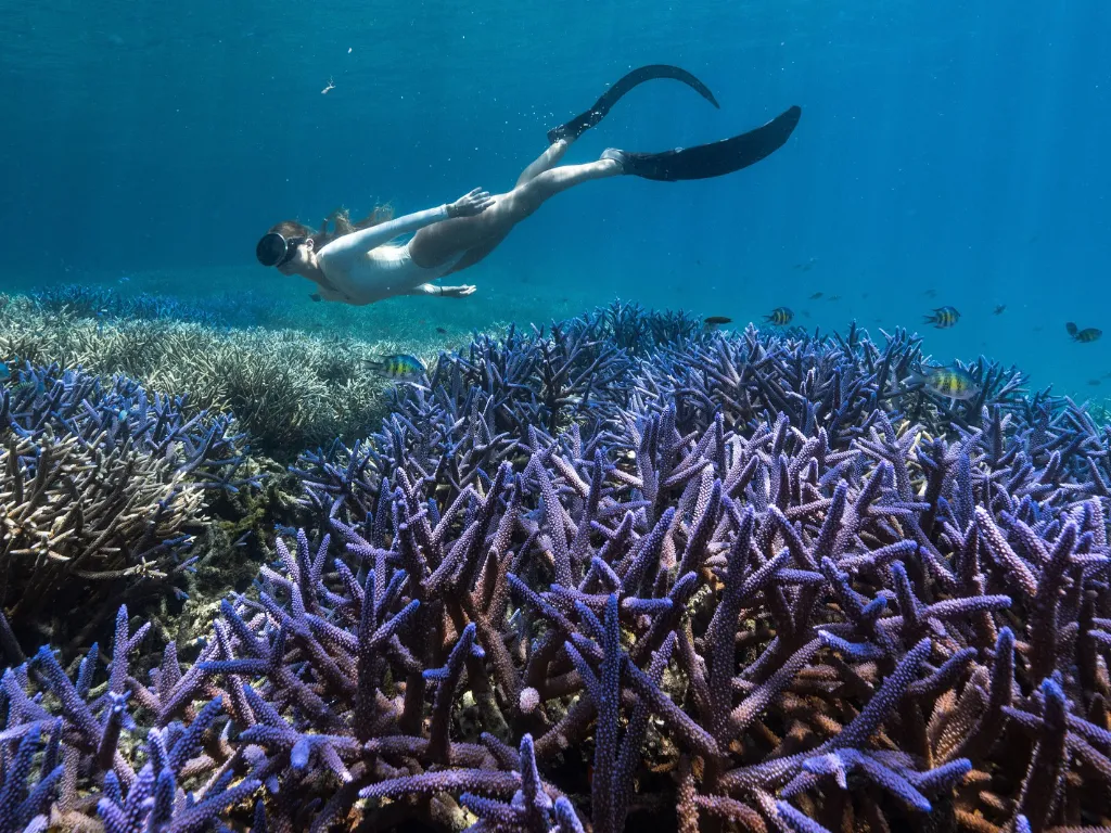 4-Day Palau Weekend Explorer