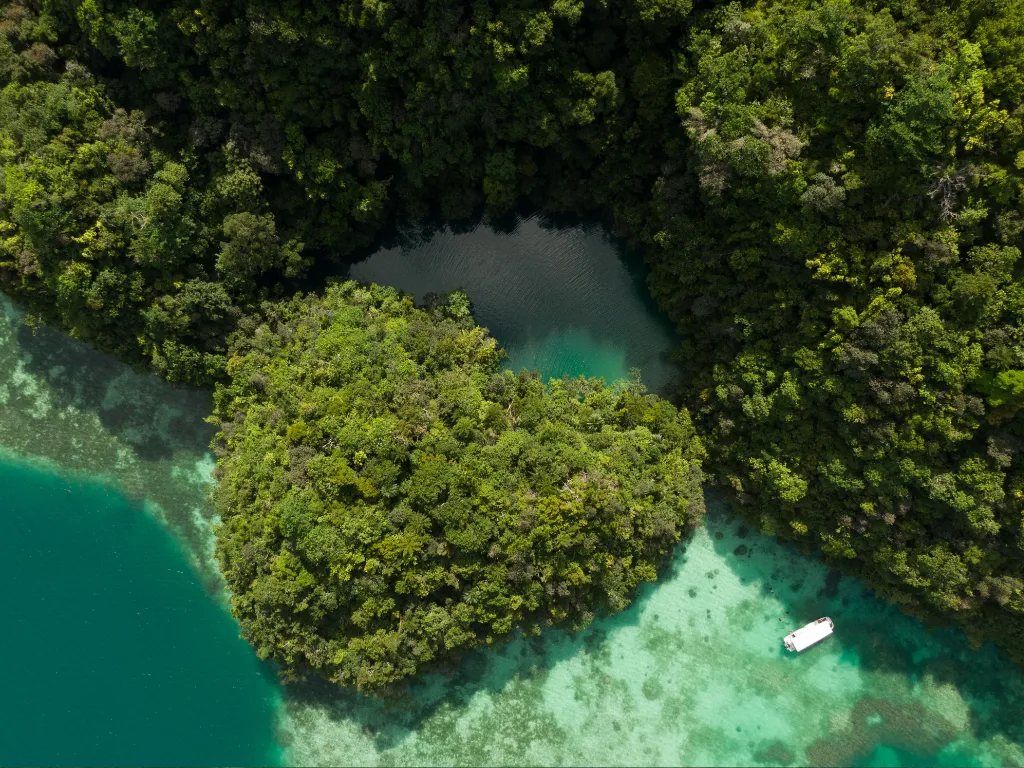  Milky Way, Shark Island & More