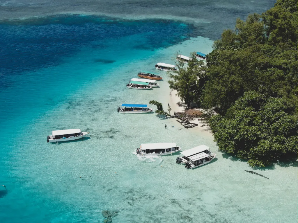  Milky Way, Shark Island & More