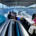  Milky Way, Shark Island & More