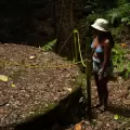 Palau Living Heritage Experience
