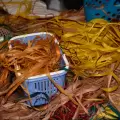 Palau Living Heritage Experience