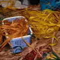 The Last Grass Skirt Maker - An Authentic Palauan Cultural Journey