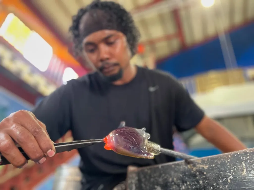 Palau City Delights Tour