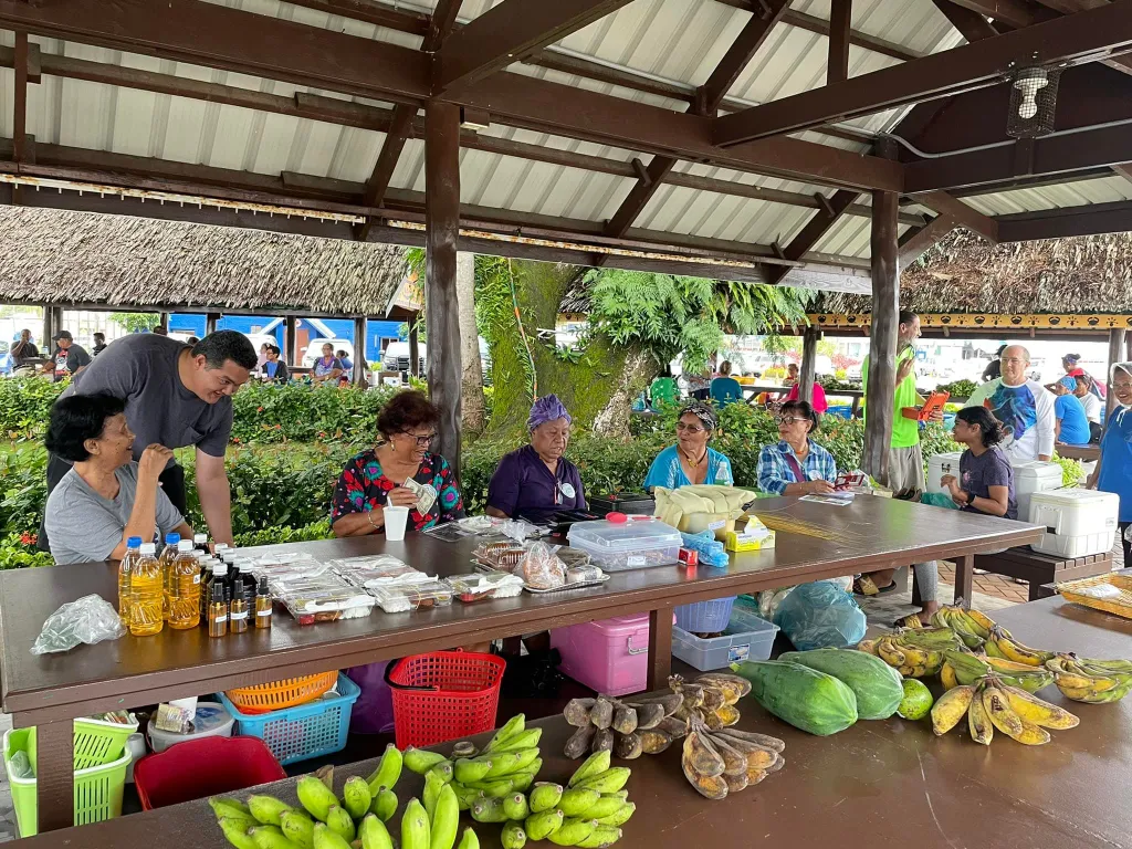 Rhythms of Nature - Waterfall Wonders & Cultural Trails with Palau Explorer