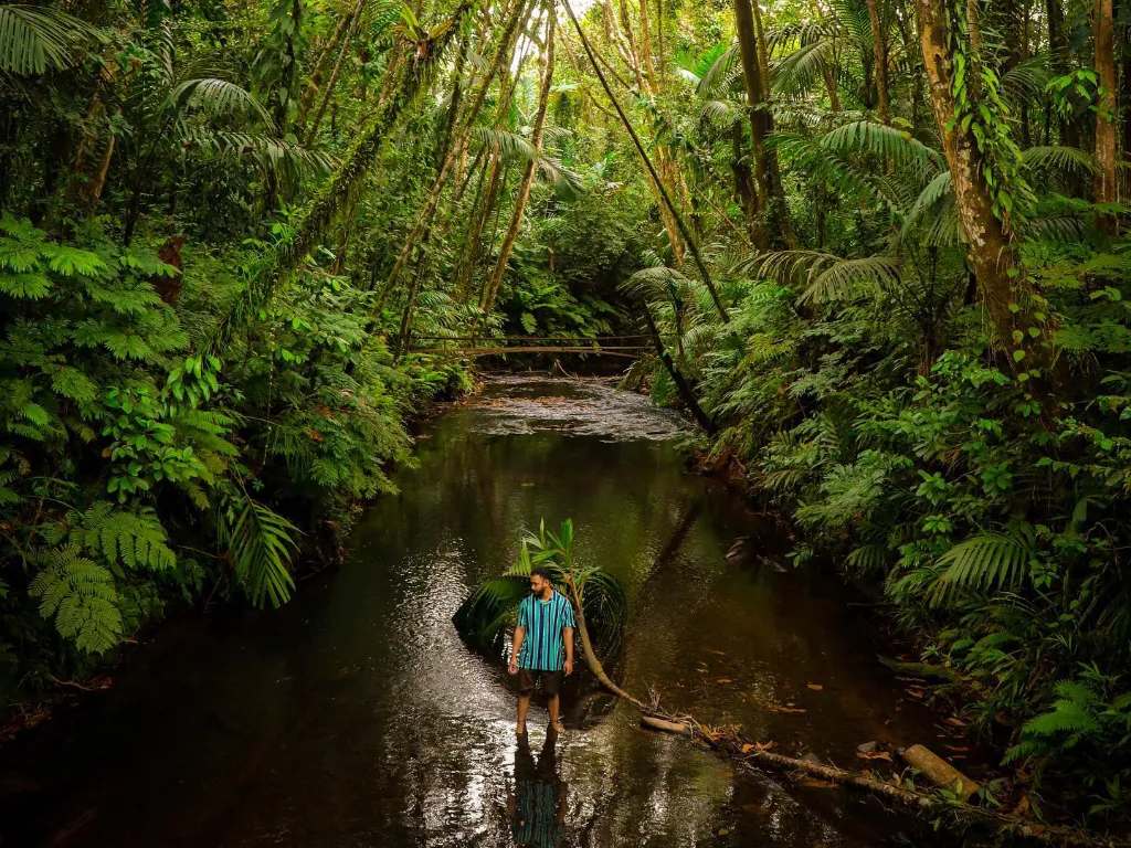 Rhythms of Nature - Waterfall Wonders & Cultural Trails with Palau Explorer