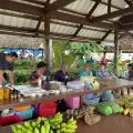 Rhythms of Nature - Waterfall Wonders & Cultural Trails with Palau Explorer
