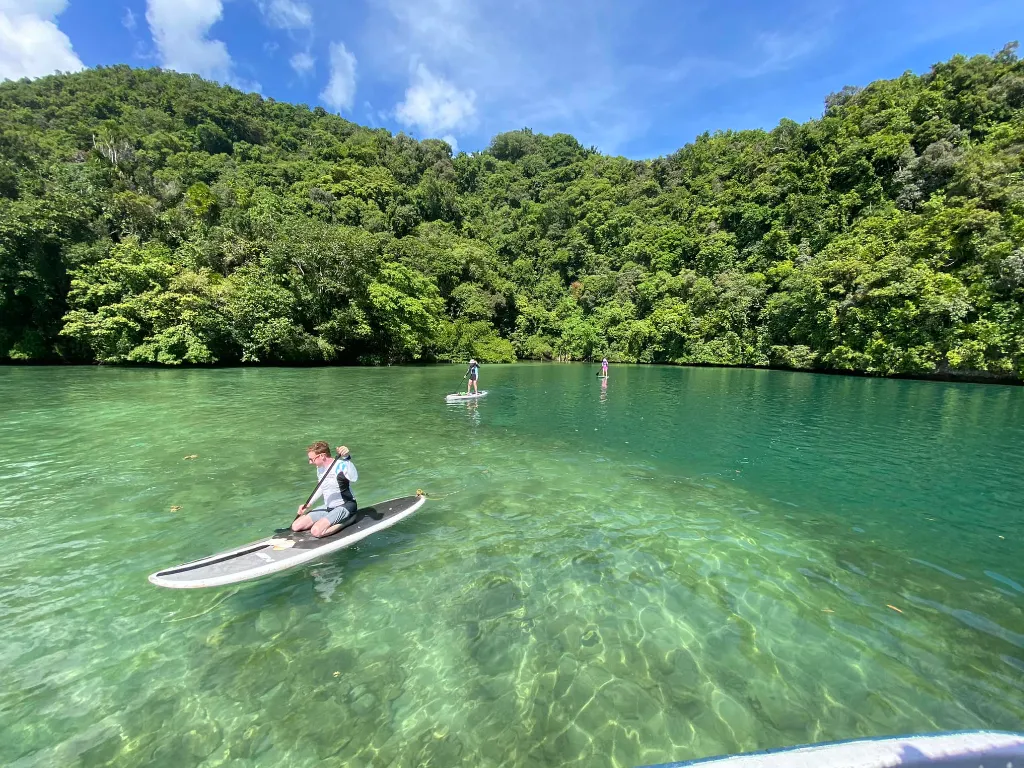 Island Hearts & Paddling Tides