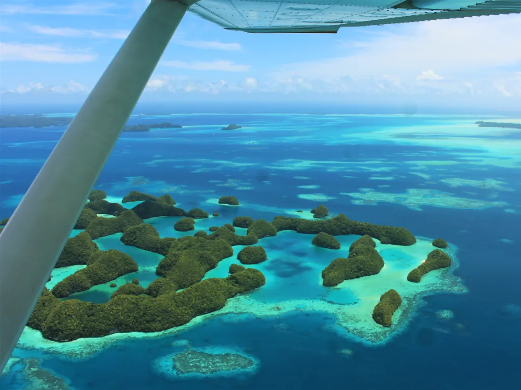 Group Flight A - Milky Way, Jellyfish Lake & Koror