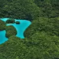 Group Flight A - Milky Way, Jellyfish Lake & Koror